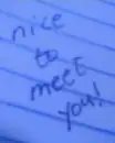 nice to meet you