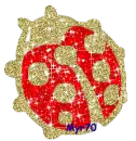 ladybug