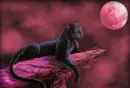 panther