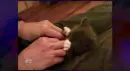 Kitty Kitty