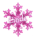 Pink Snowflake - Cindi