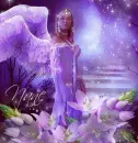 nanc purple angel