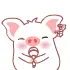 Pig 