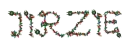 Jirzie