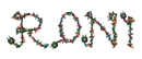 Roni