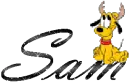 Sam