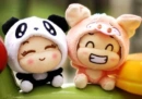cute panda &pig