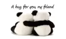 Friend