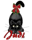 Black Cat - Judi