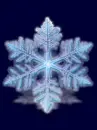 snowflake