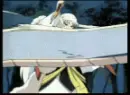 Sesshomaru