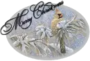 merry christmas bird on branch snowing