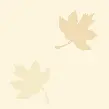 otoÃ±o beige