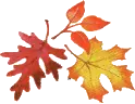 otoÃ±o