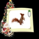 Merry