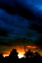 Night