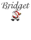 Santa - Bridget