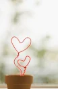 love grow