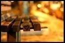 love is everywhere