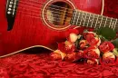 Music Lover