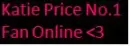 Katie Price's No.1 Fan Online