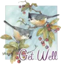 Get Well Birds W/Glittered Berries