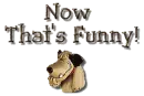 patÃ¡n rie