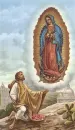 Virgen de Guadalupe