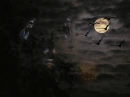 vampires with full moon and bats