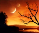 orange fantasy