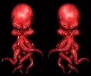 SQUID SHININIG