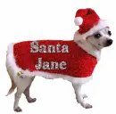 santa jane