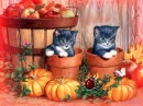 Two