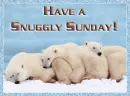 have a snuggly sunday