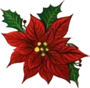christmas poinsettia