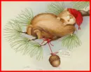 merry christmas squirrel