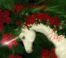 unicorn nanc