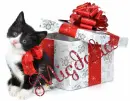 CUTE CAT Migdalia
