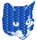 gatto