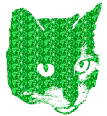 gatto