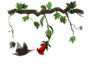 little