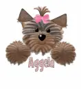 Aggela