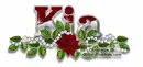 Red Rose-Kia