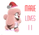 Marie Loves it