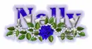 Blue Rose-Nelly