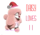 Daisy Loves it