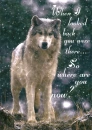 The Lone Wolf