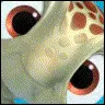 Squirt!