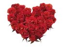 corazon de rosas rojas