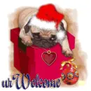 puppy...u r welcome